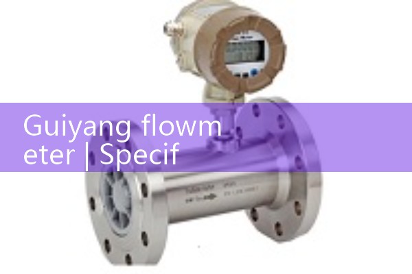Guiyang flowmeter